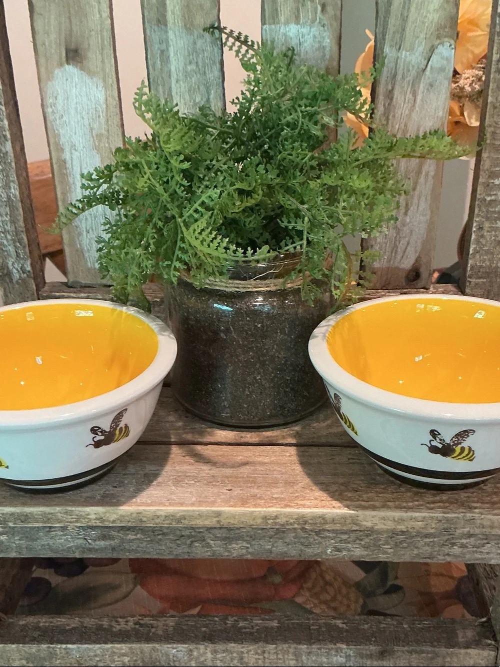 EUC - Set of 2 Bee Inspired Small Bowls